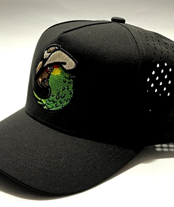 Snapback Perico Bros